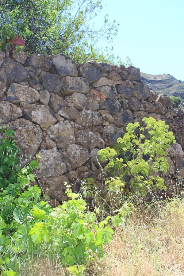 Casa-Finca El Maipez De Tejeda Las Palmas de Gran Canaria Exterior photo